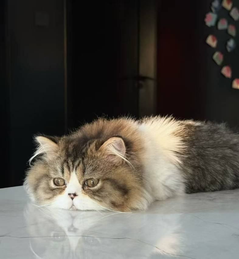 小巷玖号·雨辰居 (七星公园广西师范大学店)图片