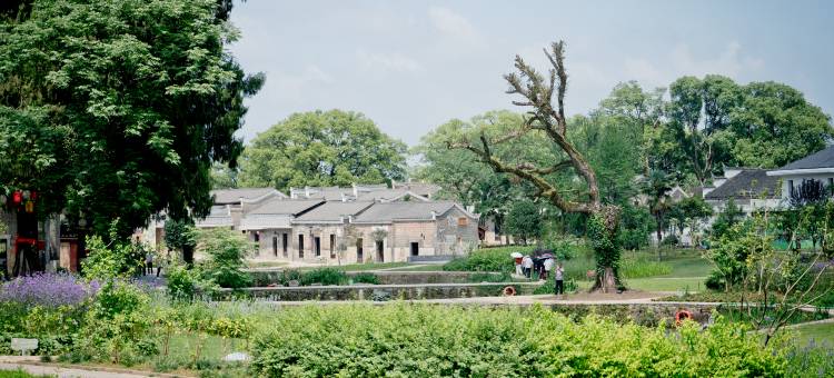 吉安花开有时民宿(钓源古村十里芳菲店)图片