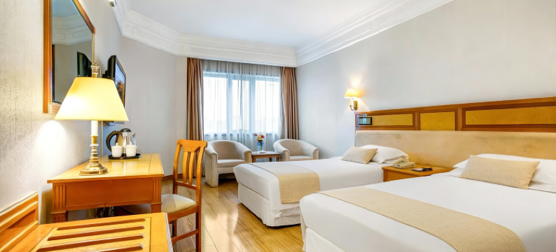 东莞银城酒店(元美地铁站店)图片