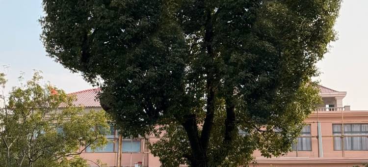 新余朝文财富酒店(仙女湖大道抱石公园店)图片