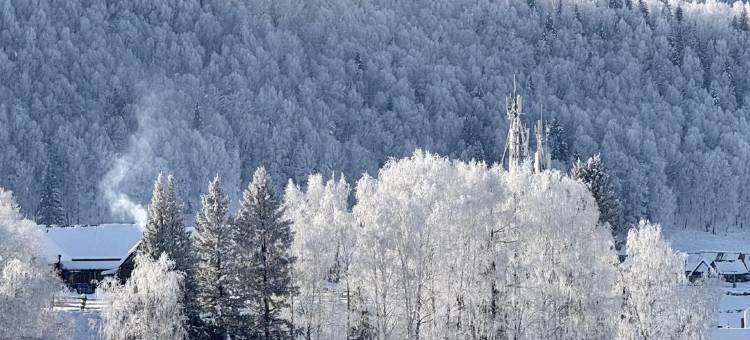 M HOTEL度假酒店(吉克普林滑雪场店)图片