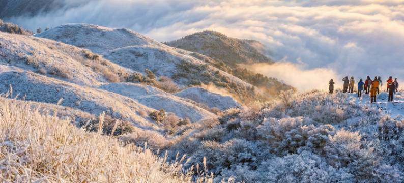 江西·栖间丨Shangli See City山景公寓(萍乡北站奥体中心店)图片