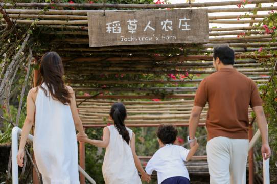 三亚海棠湾红树林度假酒店图片