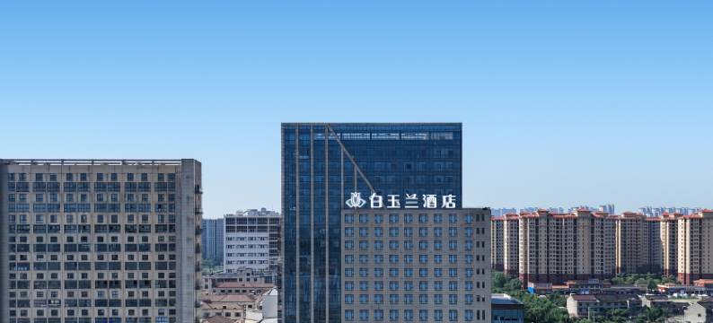 白玉兰酒店(泰兴万达广场阳江中路店)图片
