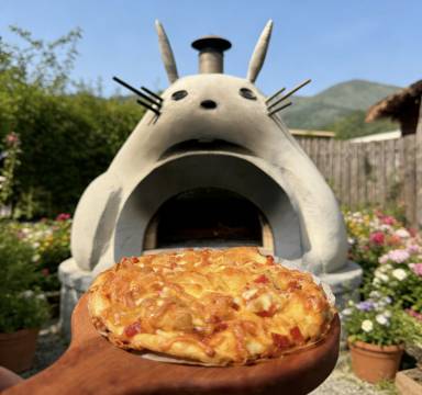 宜兴水墨涵田度假村图片