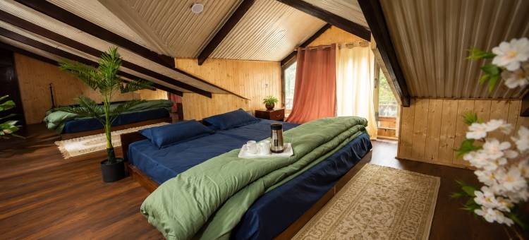 阿尔卑斯小屋(The Alpine Hut)图片