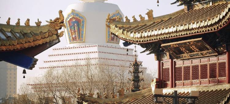 呼和浩特·欢住悦致轻奢酒店(赛罕区政府师大店)图片