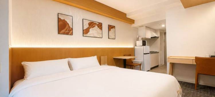 岚酒店 日本桥1号店 No.006(Hotel Arashi Nippombashi 1 No.006)图片