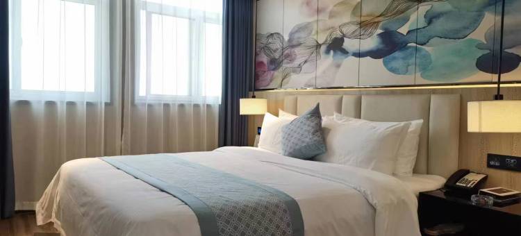 银成假日酒店(驻马店高铁西站店)图片