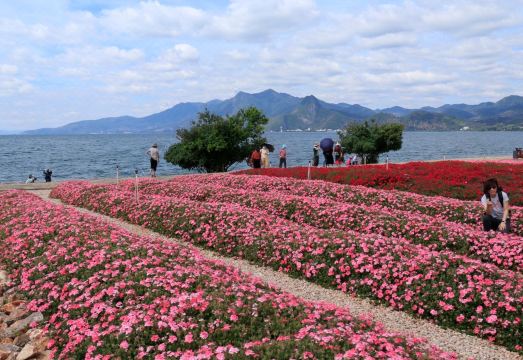 Chengjiang Nianhugui Inn Hotel Overview