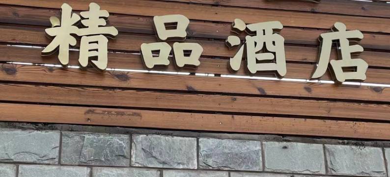 天津龙禧盛精品酒店(天津西站店)图片