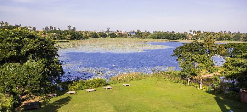 乌隆他尼布朗之家酒店(Brown House Udonthani)图片