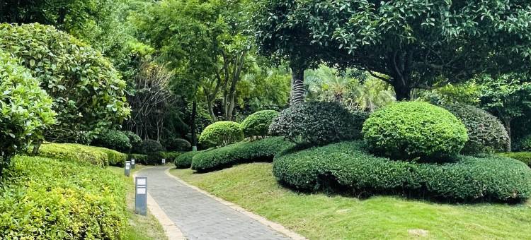 PELLE·铂丽酒店(浏阳市政府天虹购物中心店)图片