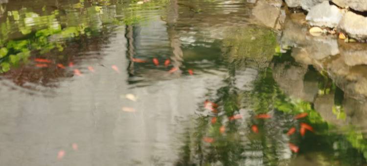 丽江康年丽水阳光酒店图片