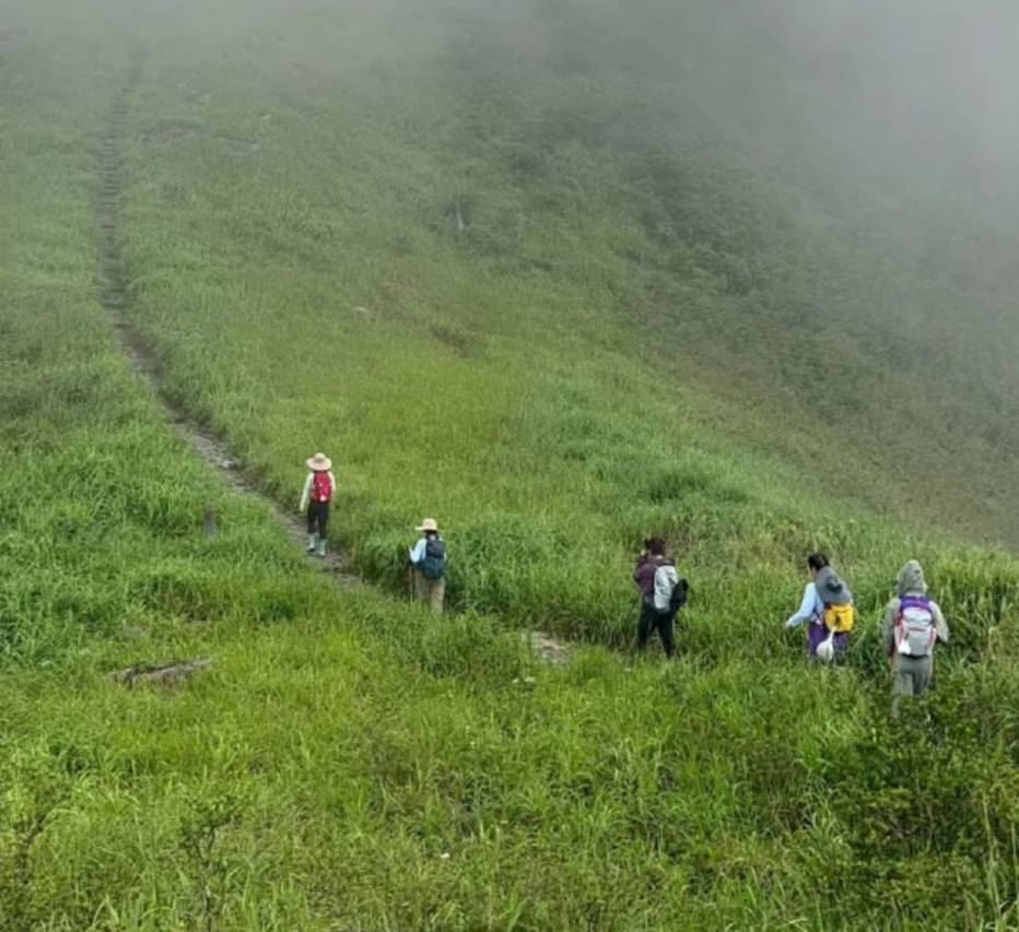 姑婆山三姐故事森林温泉旅修疗愈度假酒店图片