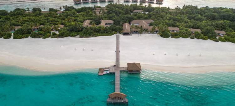 马尔代夫诺库洲至奢选酒店(Noku Maldives, Vignette Collection)图片