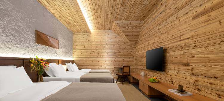 漫云涧度假民宿(喀纳斯景区游客服务中心店)图片