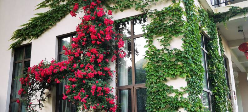 象山青籁度假别墅(鹤浦大沙沙滩店)图片