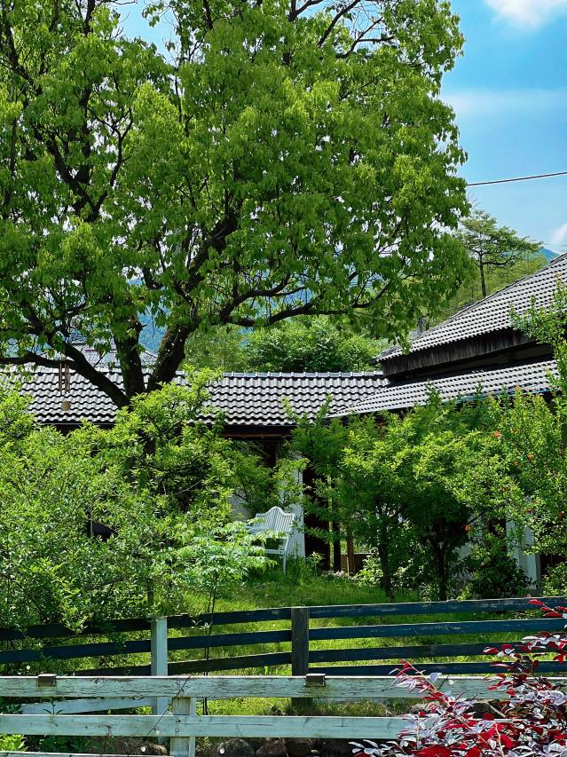 花筑·莫干山自然居·乡村四合院宠物度假民宿图片
