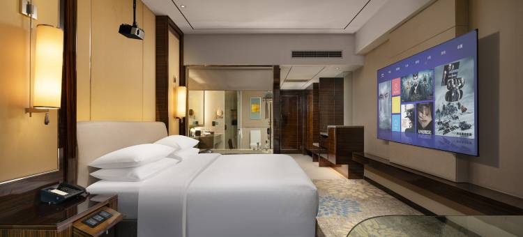 六安曙光铂尊酒店图片