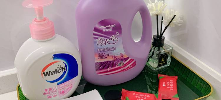 轻奢易家公寓图片