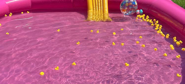 钟祥木樨别院(莫愁村明显陵店)图片