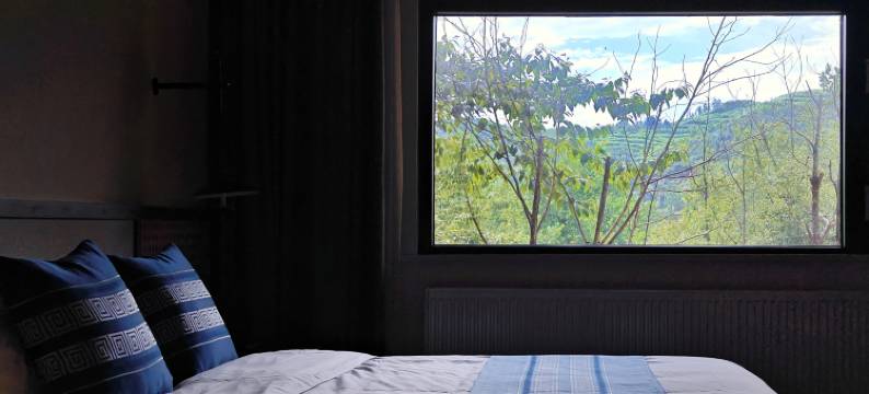 崇阳枧港民宿图片