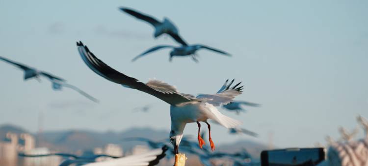 昆明华邑酒店(滇池)图片