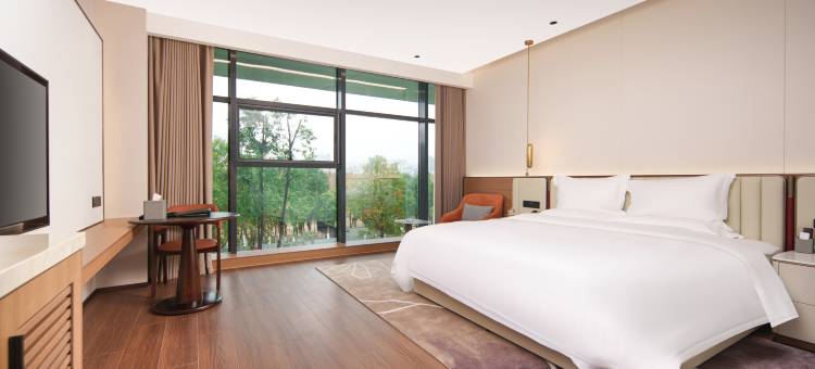 上文旅雷迪森颐墅酒店图片