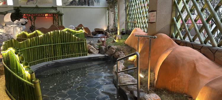 龙湾温泉酒店(宜春温汤店)图片