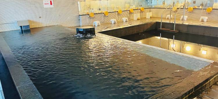 开春楼温泉酒店(Hamanako Bentenjima Onsen Family Hotel Kaisyunro)图片