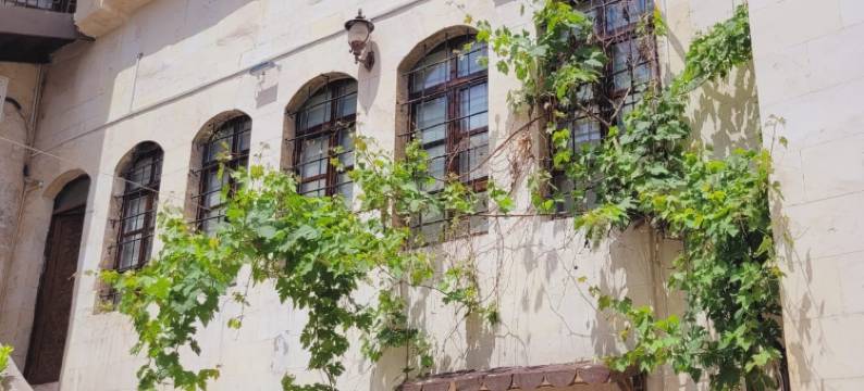 阿斯兰旅馆(Aslan Guest House)图片