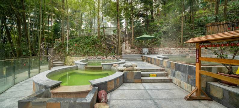 花水湾第一村森林温泉酒店图片