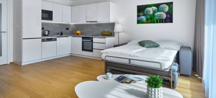 市中心安德尔套房(DownTown Suites Andel)图片