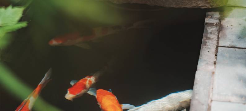 半隐舒院民宿(建水古城店)图片