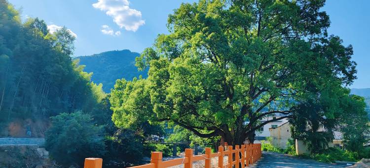 石台梦舍雅居民宿(仙寓镇店)图片