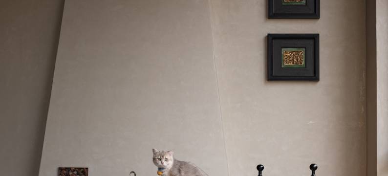 泉州山丛栖宿(西街钟楼店)图片