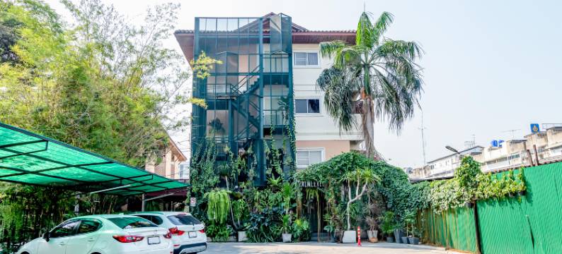 棕榈酒店(The Palm Hotel)图片