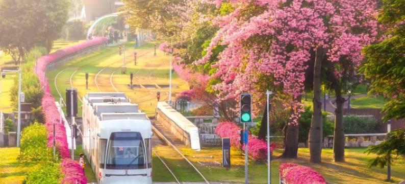 麗枫(广州北京路步行街海珠广场地铁站店)图片