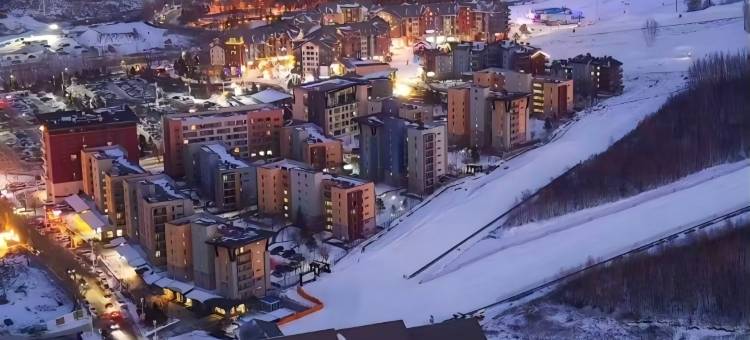 吉林松花湖假日酒店图片