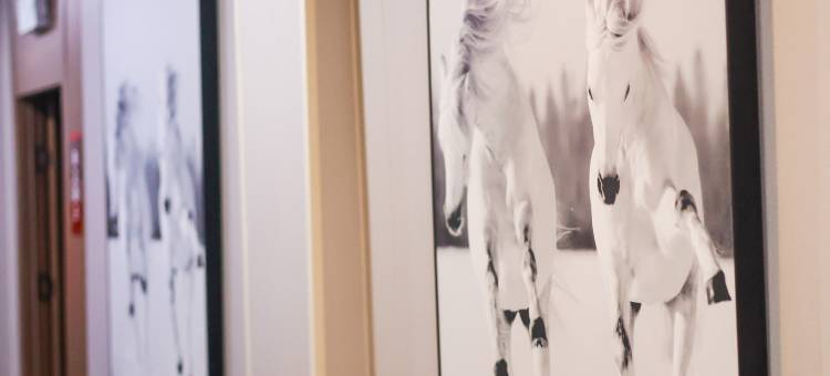 颛顼商务酒店(内黄颛顼大道店)图片