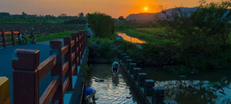飞霞龙田归田居度假民宿图片