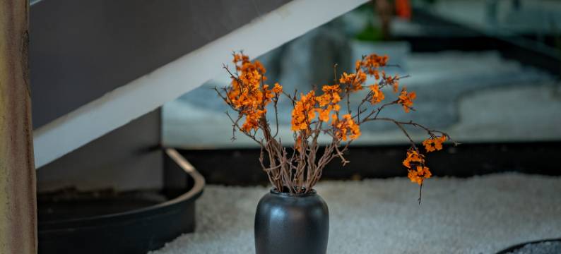 武当山·宇宵居酒店(武当山景区售票处店)图片