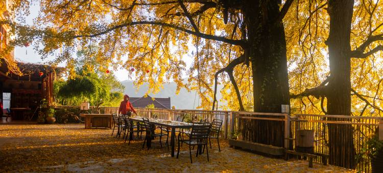 花筑·杭州蒲扇居民宿(白马崖景区店)图片