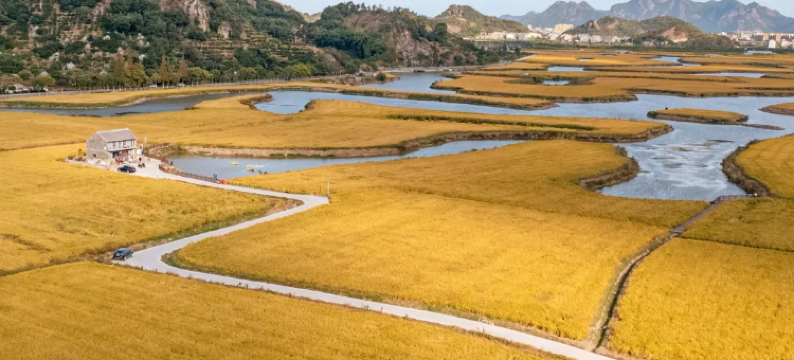 台州奈斯·泊悦酒店(椒江经济开发区滨海工业区店)图片