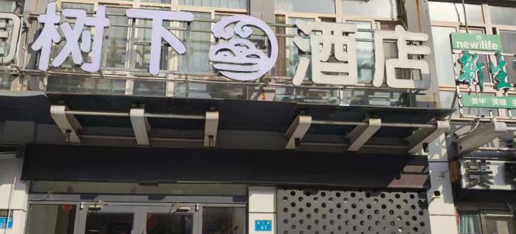 鹤壁树下酒店(鹤壁东站万达广场店)图片