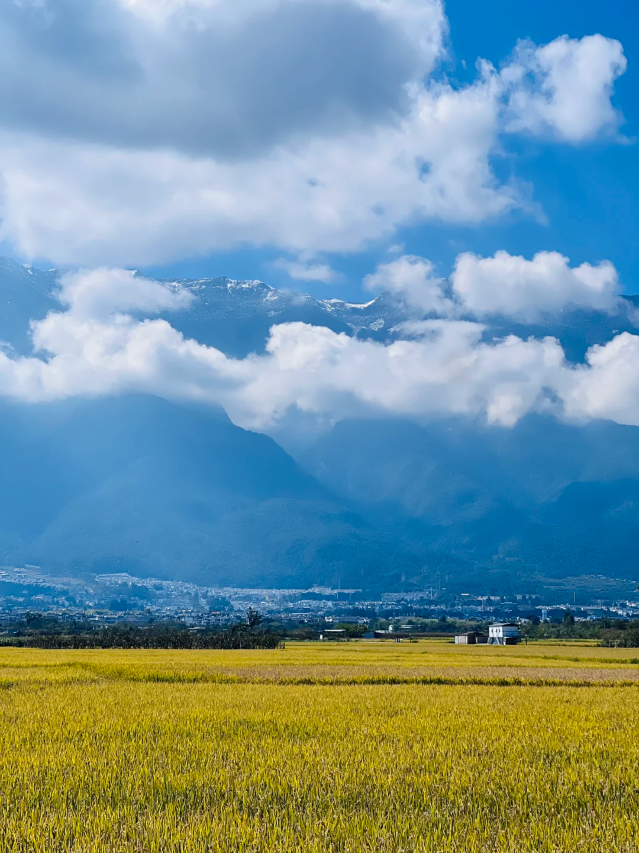 大理·大喜酒店(龙龛码头生态廊道店)图片