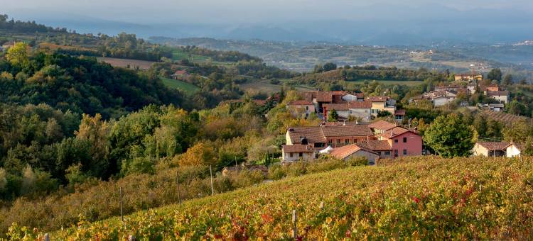 圣马蒂诺农庄旅馆(San Martino Langhe)图片