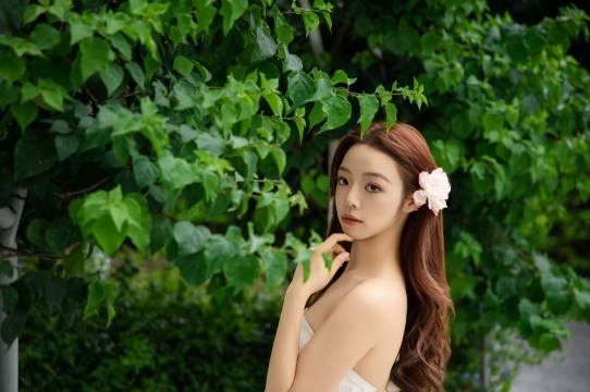 西双版纳·栖梧居艺墅度假酒店图片