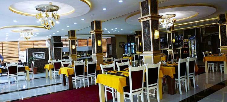 亚马逊酒店巴库(Amazon Hotel Baku)图片
